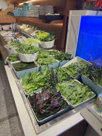 高質火鍋放題🩷西灣河美食