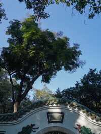 🌿 Lanpu Garden: A Lingnan-Style Hidden Gem in Downtown Guangzhou