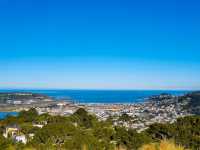 Wellington from the Top: A Mount Victoria Must-See