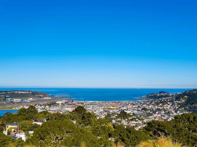 Wellington from the Top: A Mount Victoria Must-See