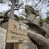 【金勝アルプス】⛰️　関西百名山〜鶏冠山・天狗岩・竜王山