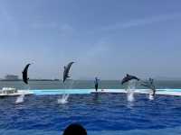 四國水族館｜絕美打卡景點