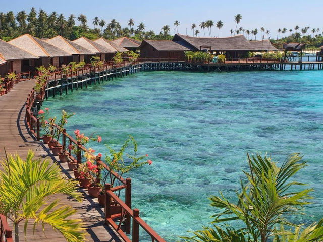 Barracuda Point: Where the Ocean’s A-Listers Come to Party 🐟🎉