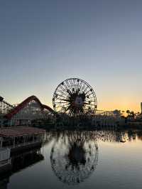 【アメリカ・カリフォルニア】夢の国🎡✨ ディズニー・カリフォルニア・アドベンチャー・パーク 
