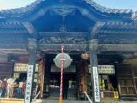 【 春の栃木② 】 あしかがフラワーパークと訪れたい近隣スポット🚶‍♀️