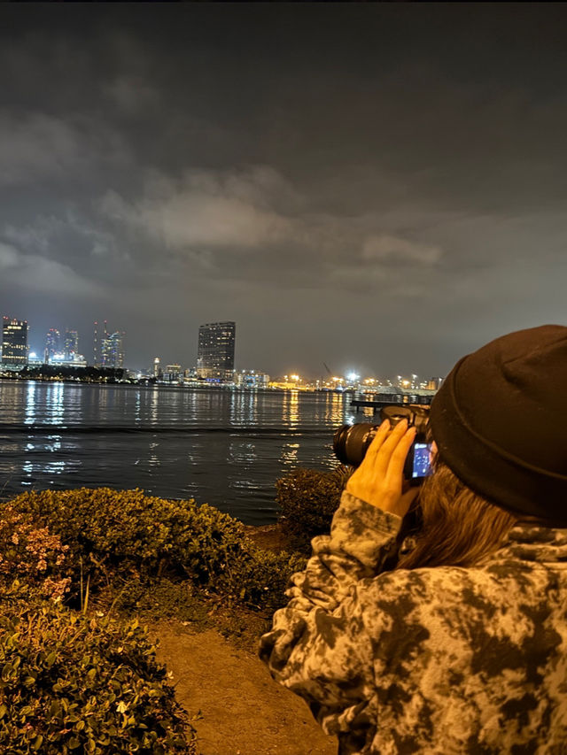 🌌 Centennial Park 야경, 샌디에고의 낭만적인 밤!