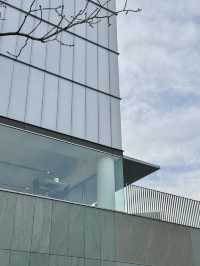 【愛知/豊田】建築とアートが響き合う静寂の美術館