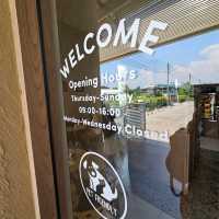 Kneads to Dough (Home cafe) เบเกอรี่แนวฝรั่งเศส