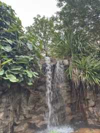 長江公園｜香港偽櫻花