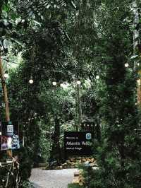 🌲 คาเฟ่กลางหุบเขาสไตล์อเมริกันคันทรี่ 🪵✨