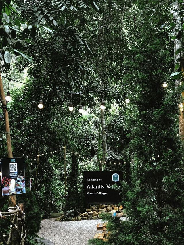 🌲 คาเฟ่กลางหุบเขาสไตล์อเมริกันคันทรี่ 🪵✨