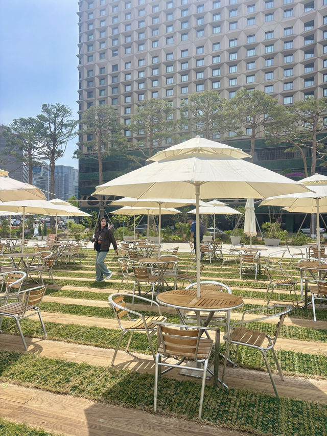 봄맞이 현재 서울시청에서 열리는 서울스프링페스타🌸❤️