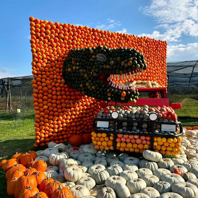 A Rustic Autumn Escape: My Visit to Junker Farm in Jona