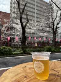 紅眼3天2夜快閃東京🌸櫻花大爆發🌸