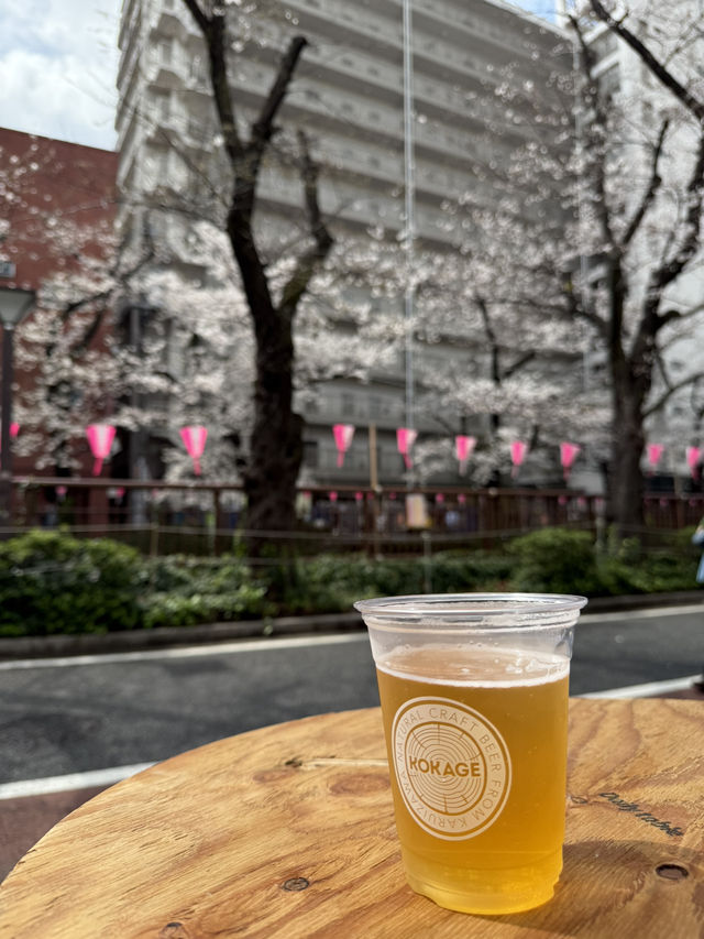 紅眼3天2夜快閃東京🌸櫻花大爆發🌸