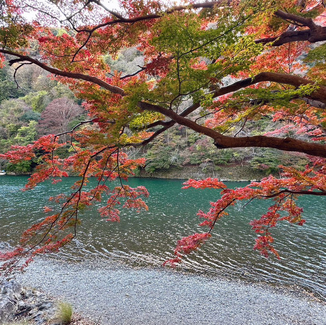 嵐山超級適合賞楓