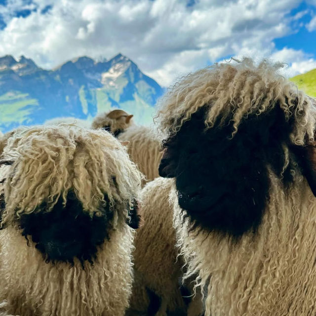 👨‍👩‍👧‍👦 Family-Friendly Zermatt Weekend: Matterhorn Magic for All Ages!