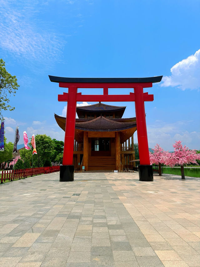 🇹🇭Chiangmai Hidden Gem with Japan vibes 