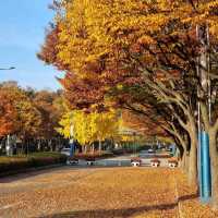 Incheon Grand Park (Incheon)