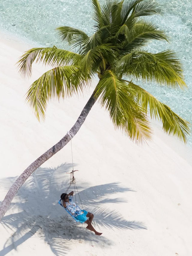 Maldives recap