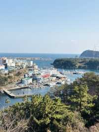 Jeju's Beauty at Seogwipo Chilshimli Park