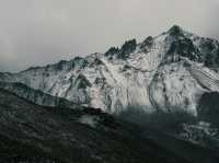 Xinjiang – Spring Blooms on the Edge of the Steppe