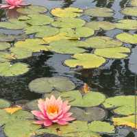 Balboa Park – San Diego, CA