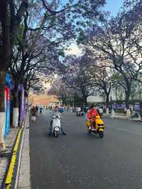 City of Eternal Spring