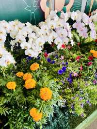 Spring Raya Celebration Blooms at KLIA Sepang 
