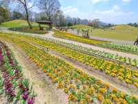 Sanuki Manno Park Is a Hidden Gem