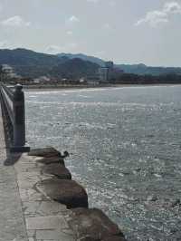 Aoshima in Spring