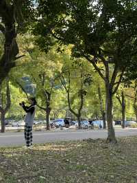 石門水庫｜北台灣四季皆宜的湖光山色與生態樂園 