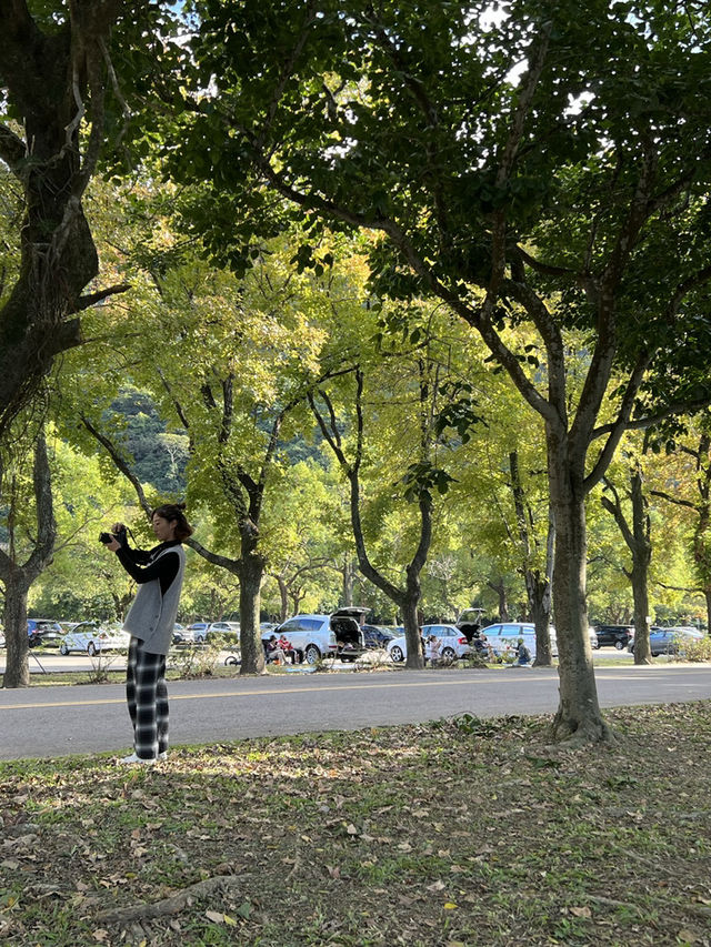 石門水庫｜北台灣四季皆宜的湖光山色與生態樂園 