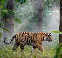 Ranthambore Tiger Reserve