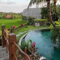 Adiwana Bee House – Ubud