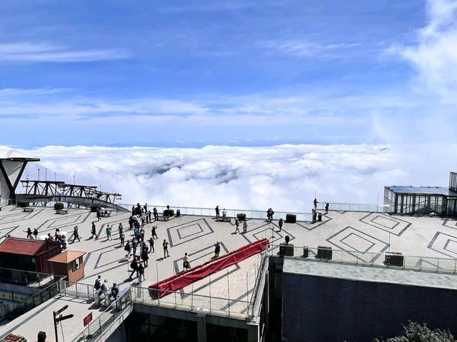Spring Adventures on Fansipan, the Roof of Indochina