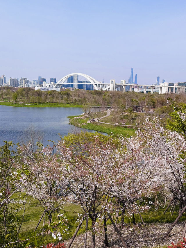 Blossoms Between Icons: Spring Awakens at Shanghai Expo Cultural Park