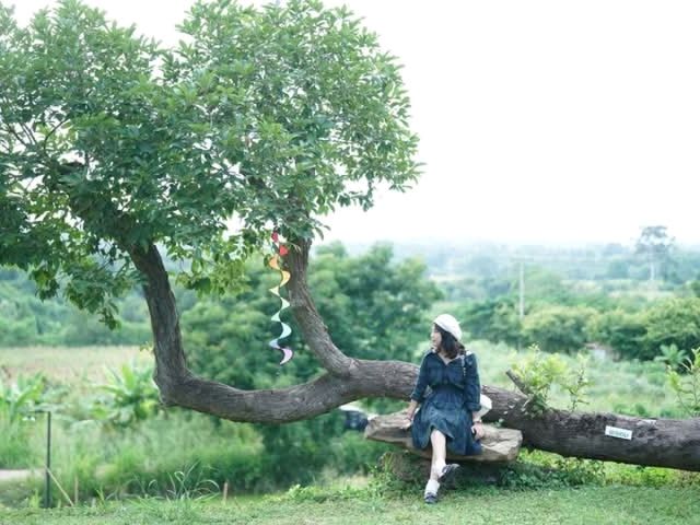 คาเฟ่และที่พักลานกางเต๊นท์กลางเขาวังน้ำเขียว