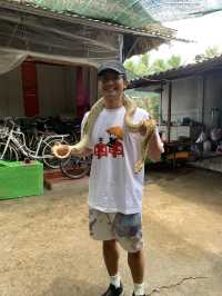 MEKONG DELTA & VINH TRANG PAGODA VIP TOUR