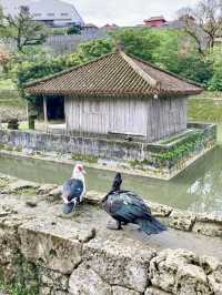 A Local Stroll Around Shuri – Castles, Soba & Shaved Ice