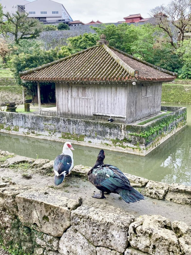 A Local Stroll Around Shuri – Castles, Soba & Shaved Ice
