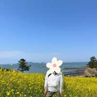 바다가 보이는 유채꽃밭, 부안 수성당