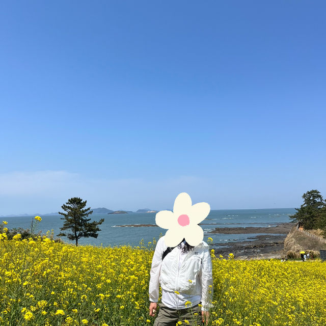 바다가 보이는 유채꽃밭, 부안 수성당