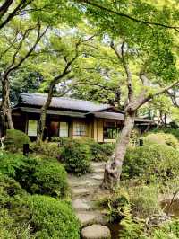 A Day of Art & Blossoms in Meguro – Garden Views & Golden Moments