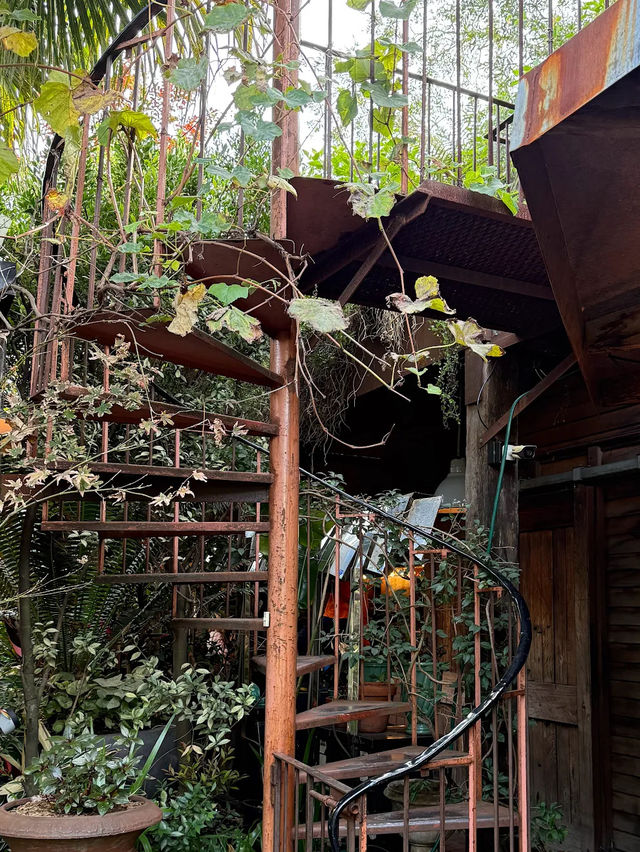 The Grounds 