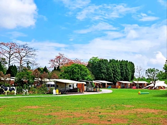 牛仔星村・桃園最Chill親子露營新地標