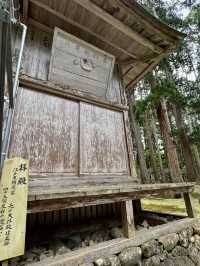 A Slow Day in Fukui – Dinosaurs, Temples & Sweet Treats