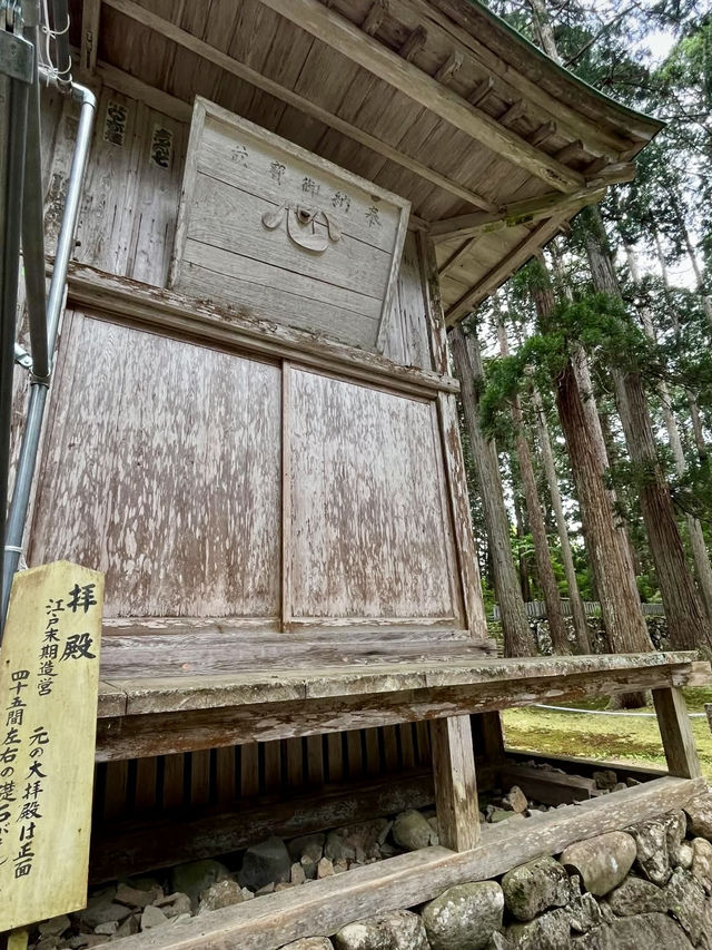 A Slow Day in Fukui – Dinosaurs, Temples & Sweet Treats