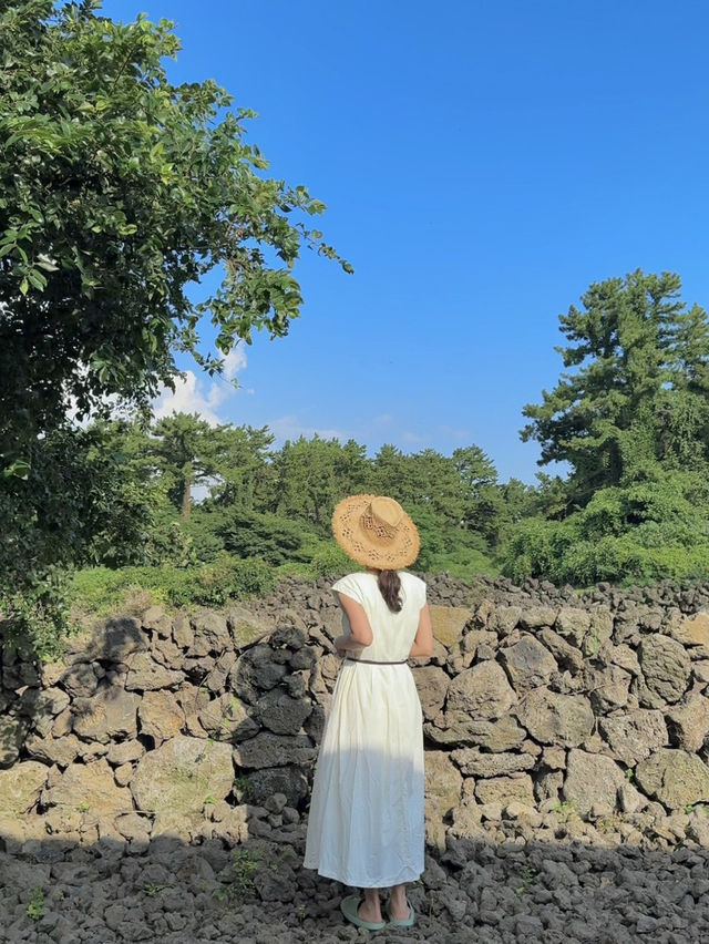 제주도 숙소 여기는 꼭 가세요 ‼️