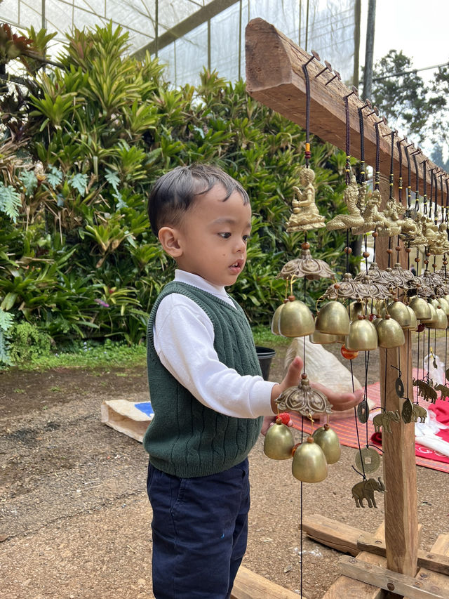 “วันสบาย ๆ ใต้กลีบดอกไม้”